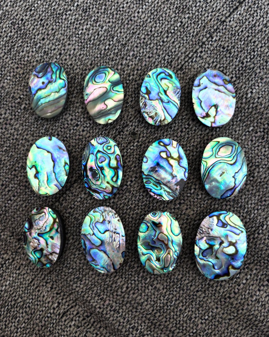 Natural Abalone Shell Oval Shape– Choose Your Piece - Image 4