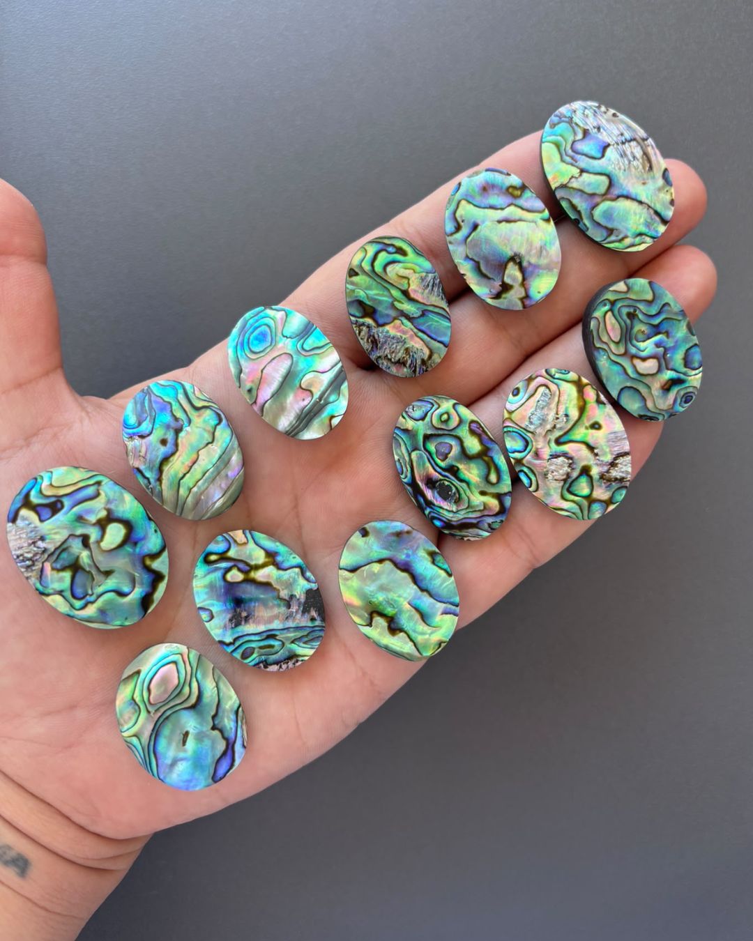 Natural Abalone Shell Oval Shape– Choose Your Piece - Image 3