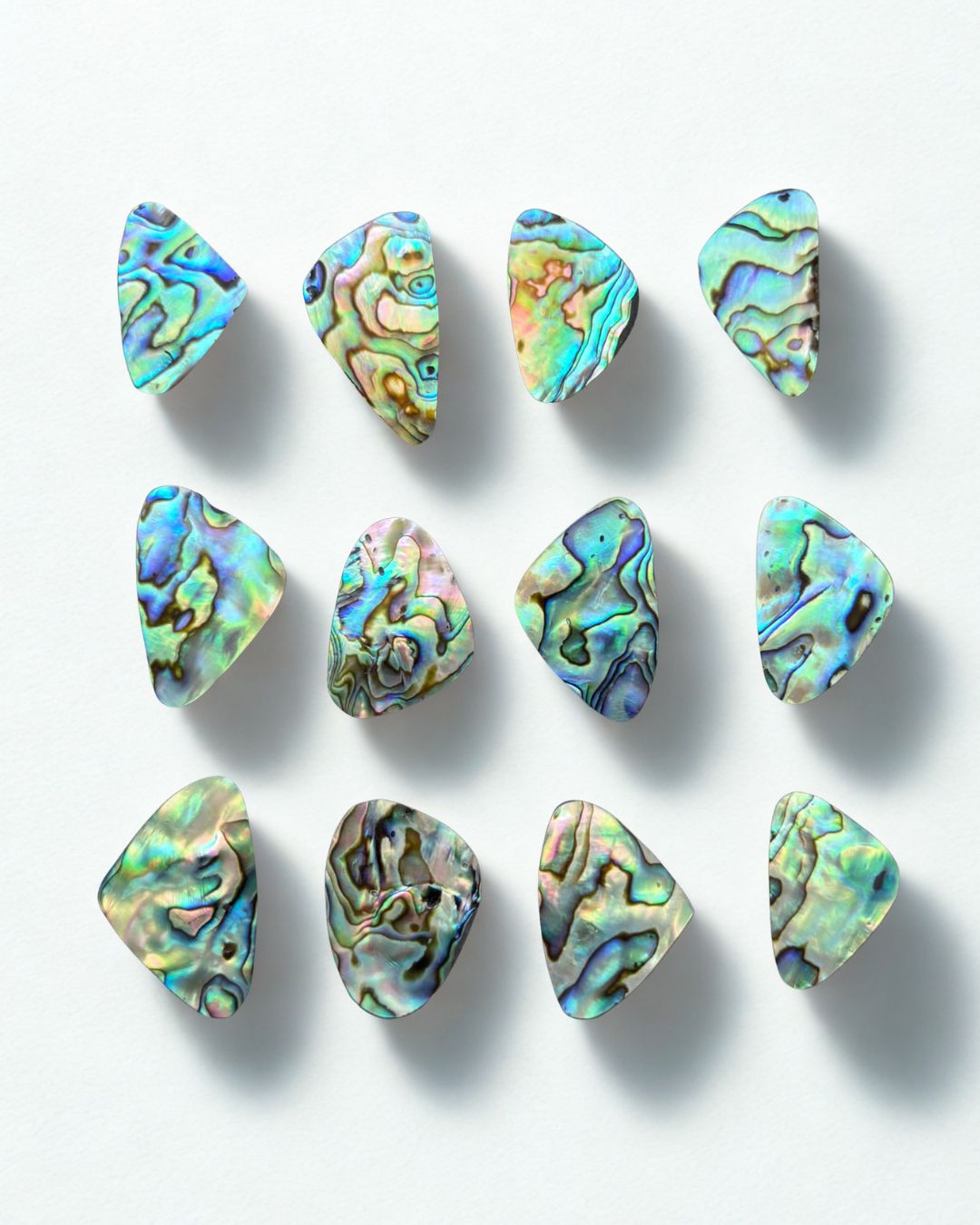 Natural Abalone Shell Oval Shape– Choose Your Piece - Image 3