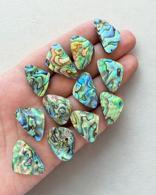 Natural Abalone Shell Oval Shape– Choose Your Piece