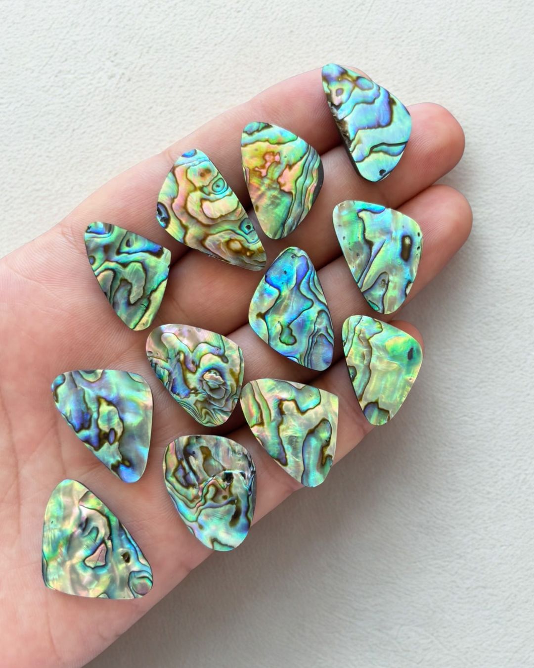 Natural Abalone Shell Oval Shape– Choose Your Piece