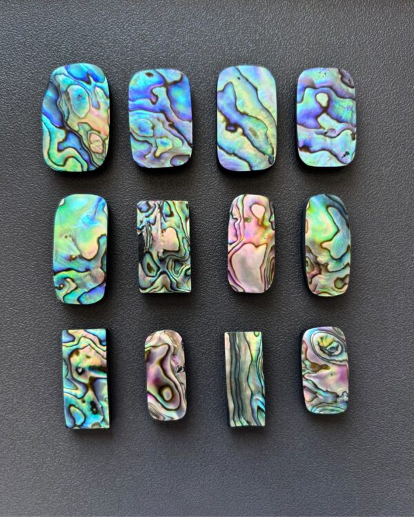 Natural Abalone Shell Oval Shape– Choose Your Piece