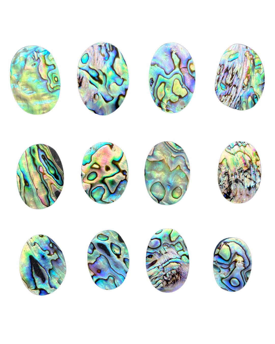 Natural Abalone Shell Oval Shape– Choose Your Piece - Image 3