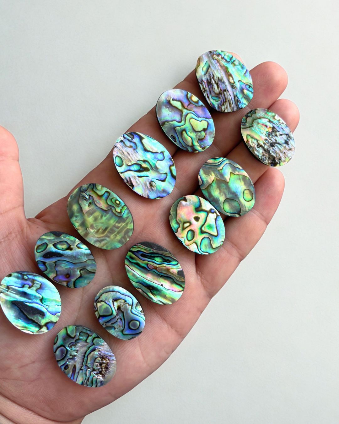 Natural Abalone Shell Oval Shape– Choose Your Piece - Image 4