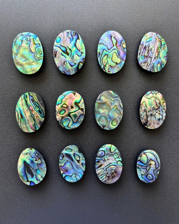 Natural Abalone Shell Oval Shape– Choose Your Piece