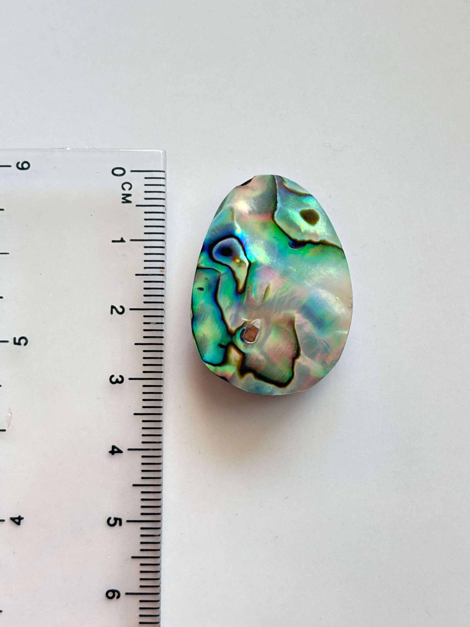 Natural Abalone Shell Cabochon – One of a Kind - Image 2