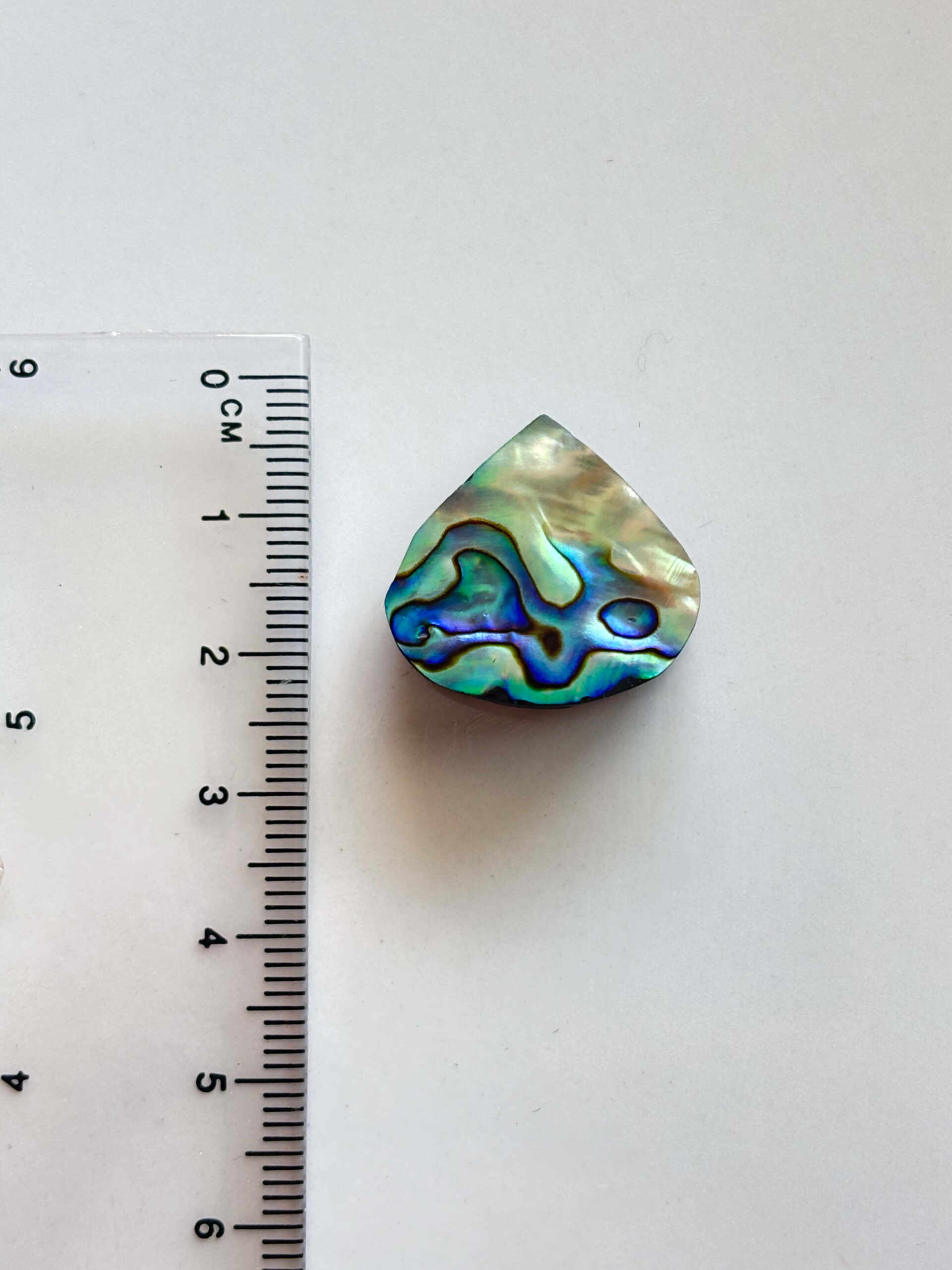 Unique Abalone Shell Cabochon for Jewelry - Image 3