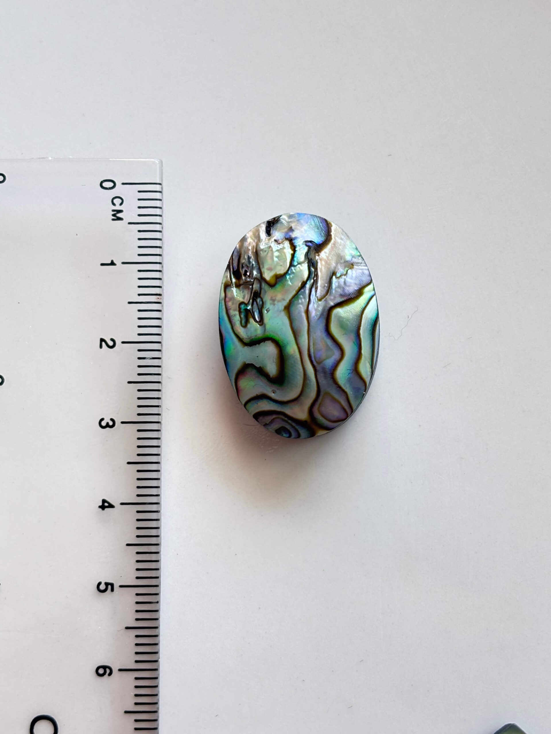 Natural Abalone Shell for Handmade Jewelry - Image 2