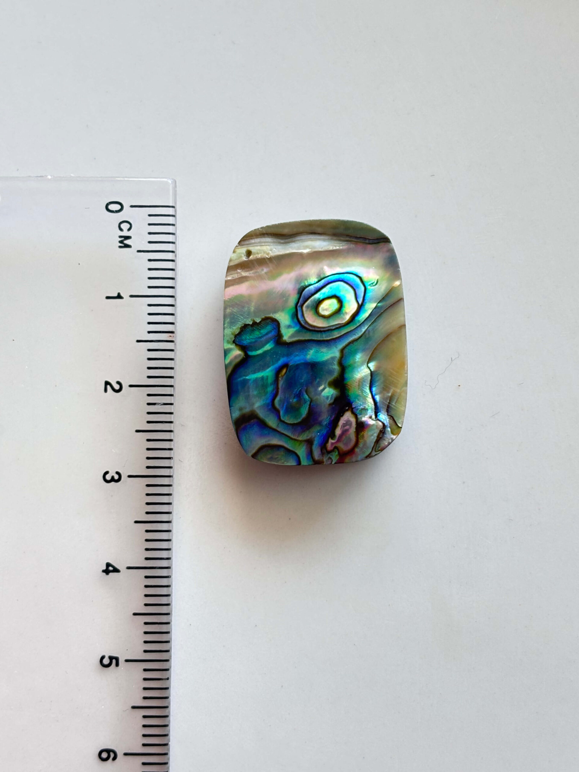 Natural Abalone Shell – Iridescent Cabochon - Image 3