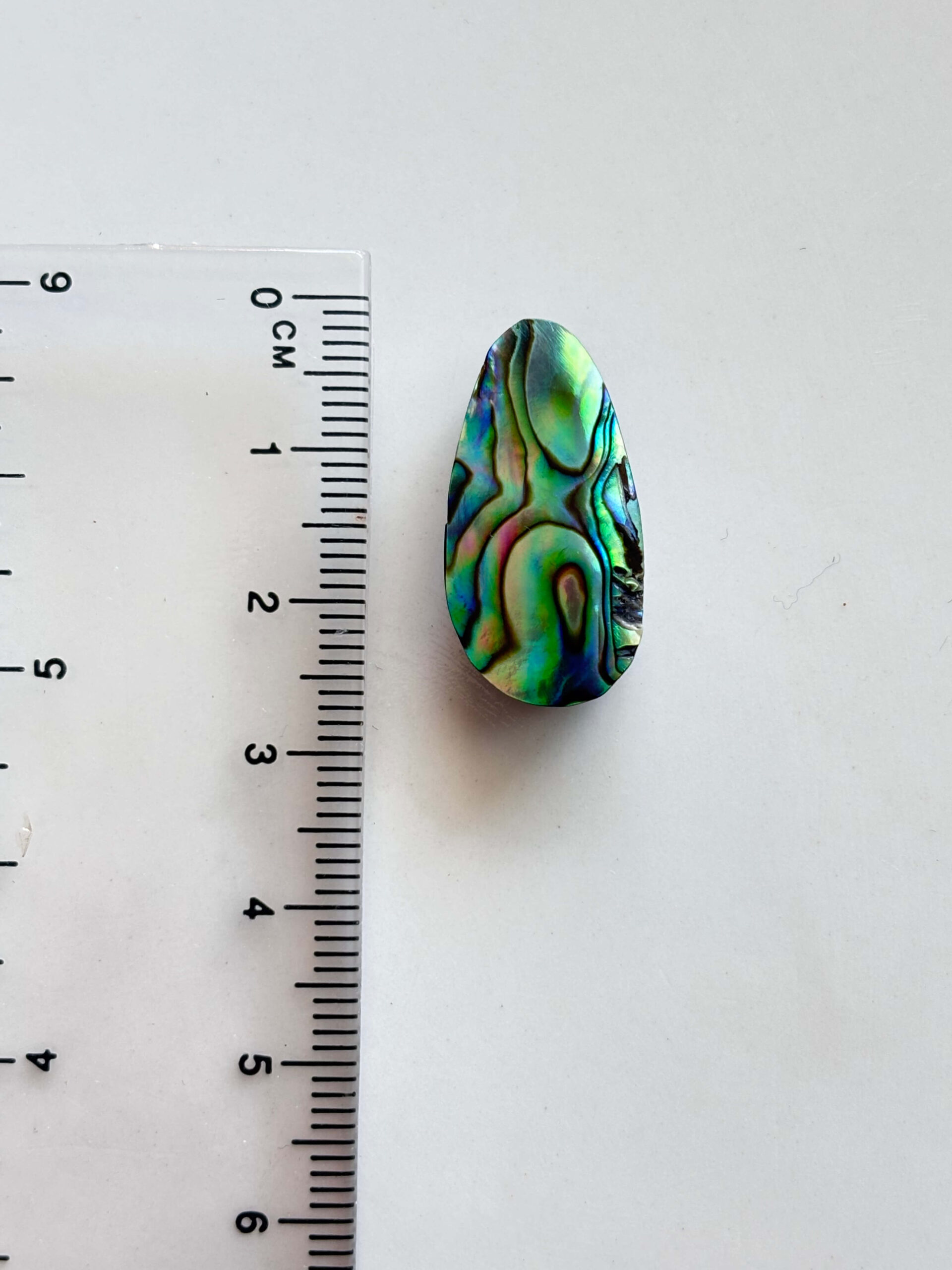 Abalone Shell Cabochon for Jewelry Making - Image 2