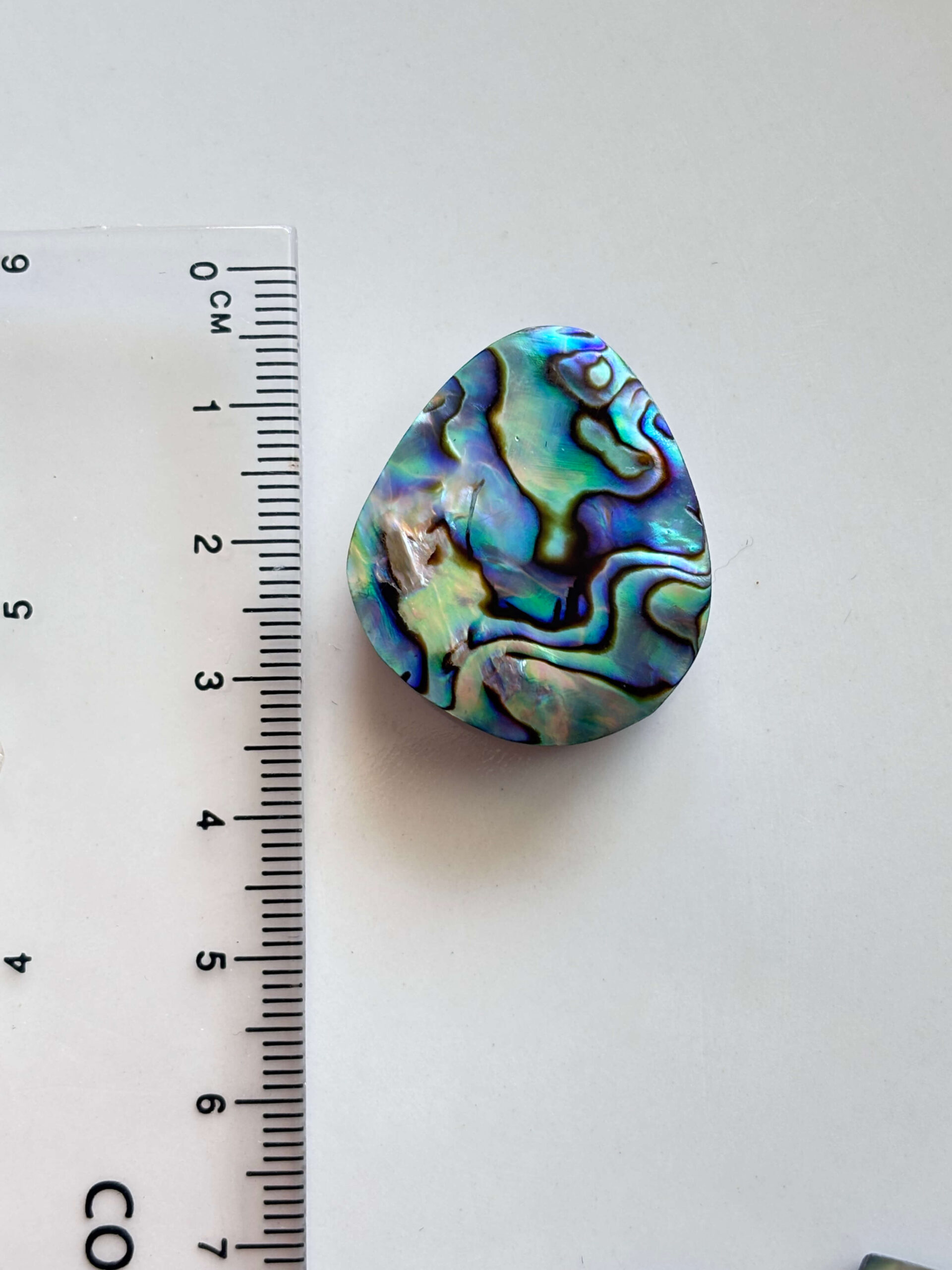 Abalone Shell Cabochon – One of a Kind Piece - Image 2