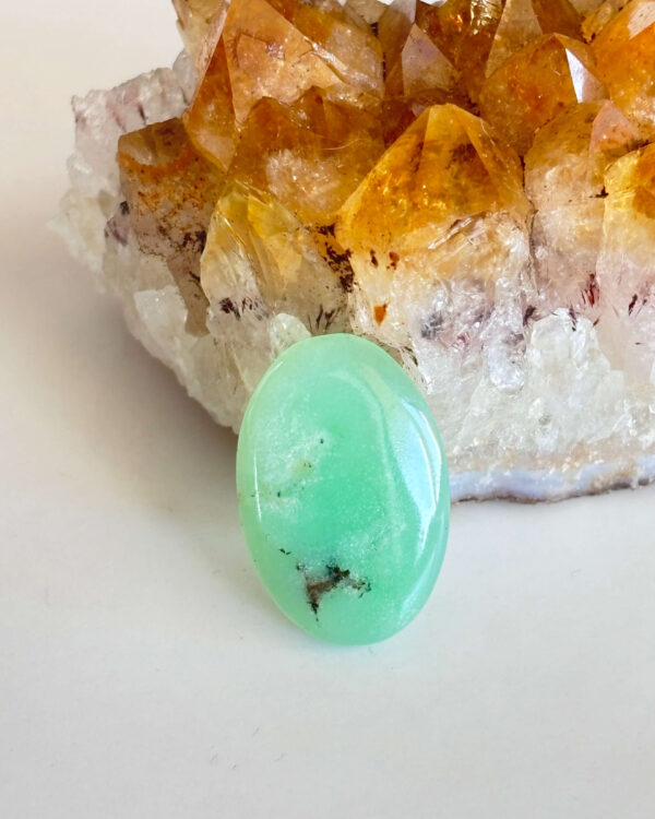 Polished Chrysoprase Cabochon for Jewelry