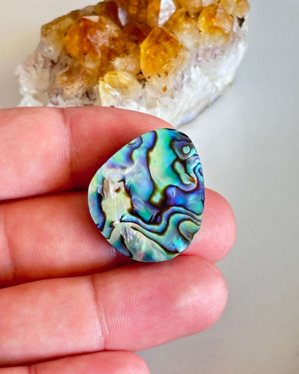 Abalone Shell Cabochon – One of a Kind Piece
