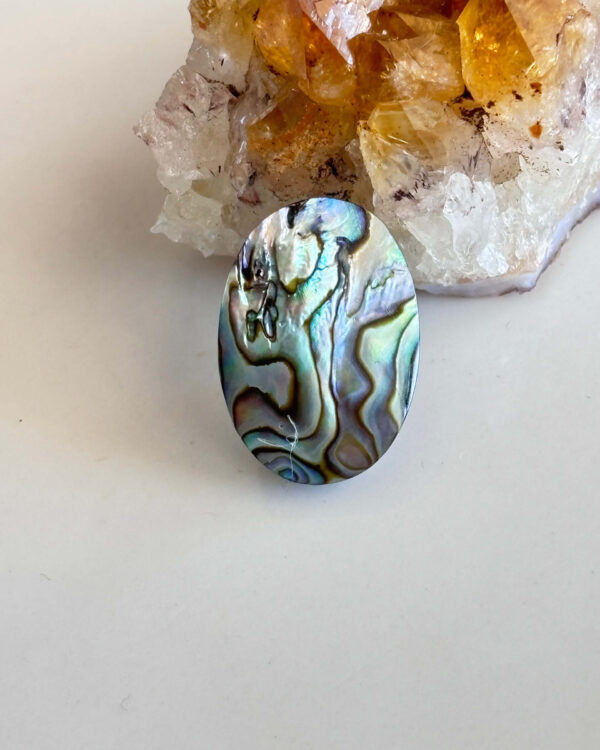 Natural Abalone Shell for Handmade Jewelry