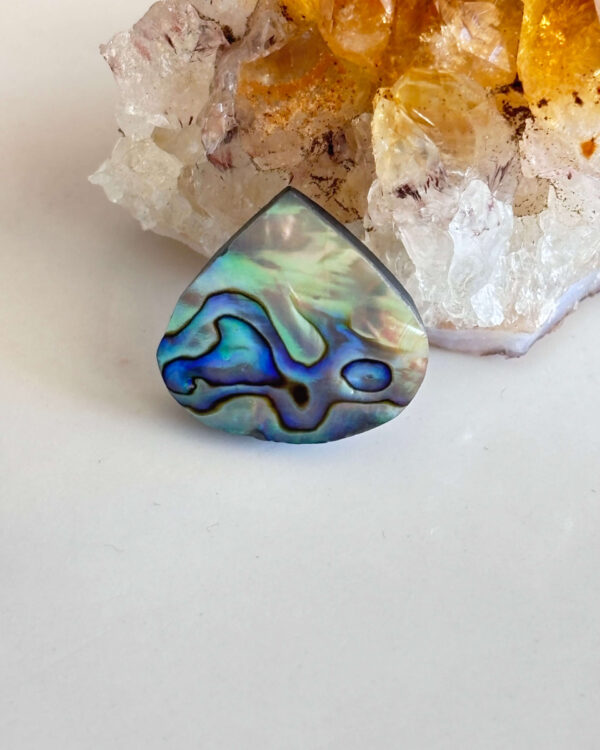 Unique Abalone Shell Cabochon for Jewelry