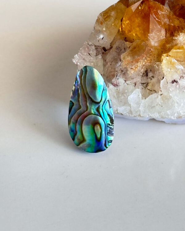 Abalone Shell Cabochon for Jewelry Making