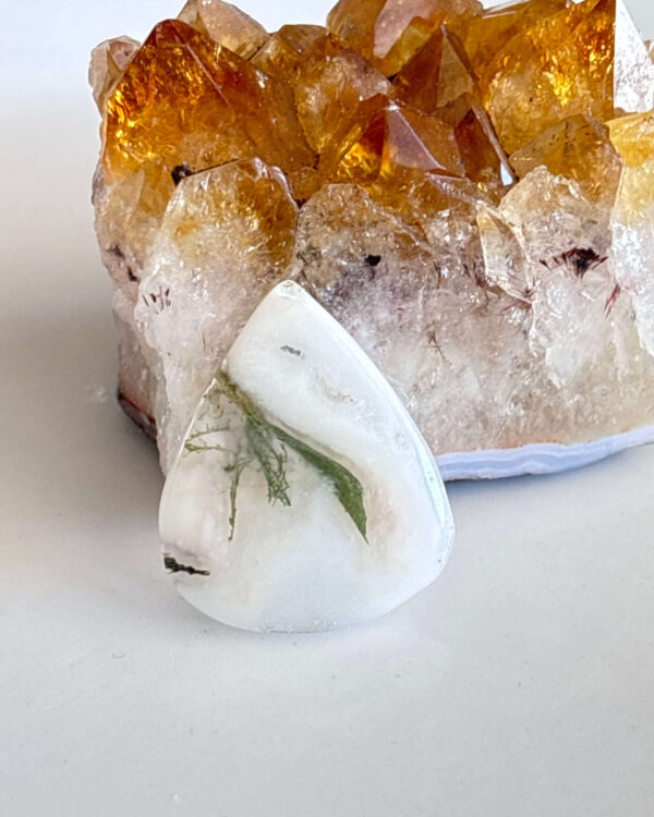Polished Moss Agate Stone – Unique Gemstone