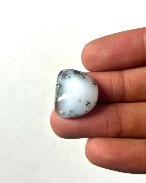 20mm Natural Dendritic Opal Gemstone – One of a Kind
