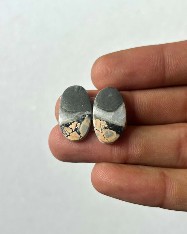 20mm Jasper Cabochon Pair – One of a Kind