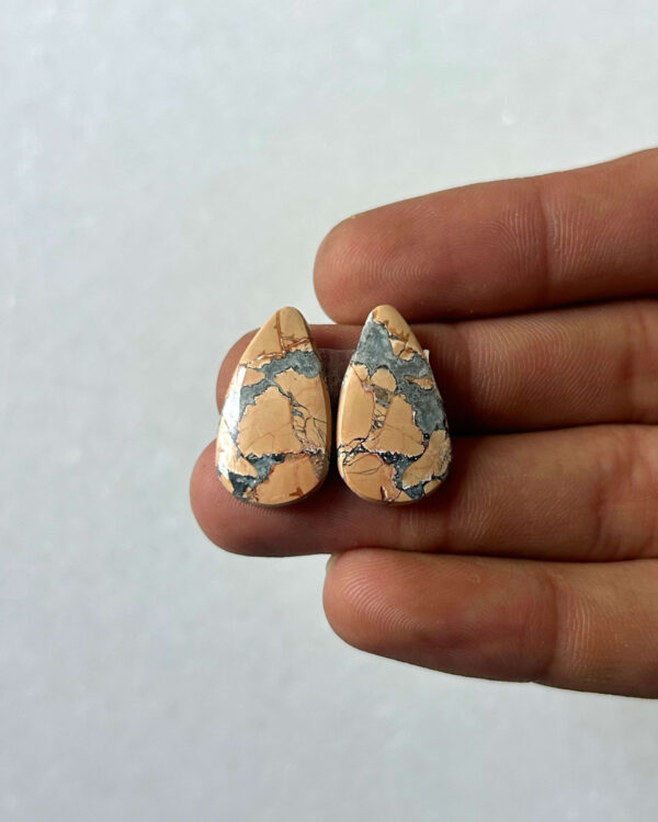 22mm Jasper Cabochon Pair – One of a Kind