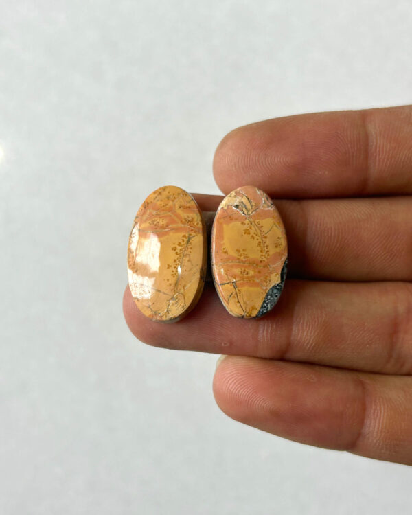 22mm Jasper Cabochon Pair – One of a Kind