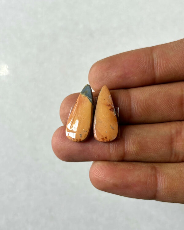 22mm Jasper Cabochon Pair – One of a Kind