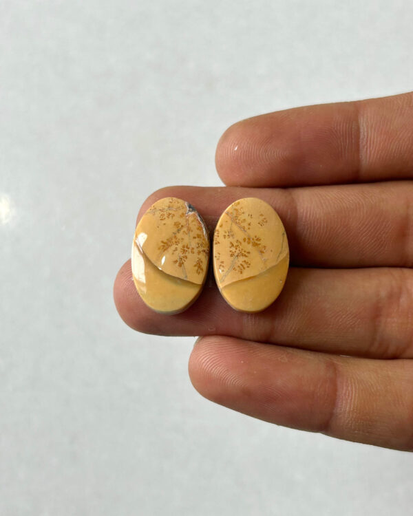 20mm Jasper Cabochon Pair – One of a Kind