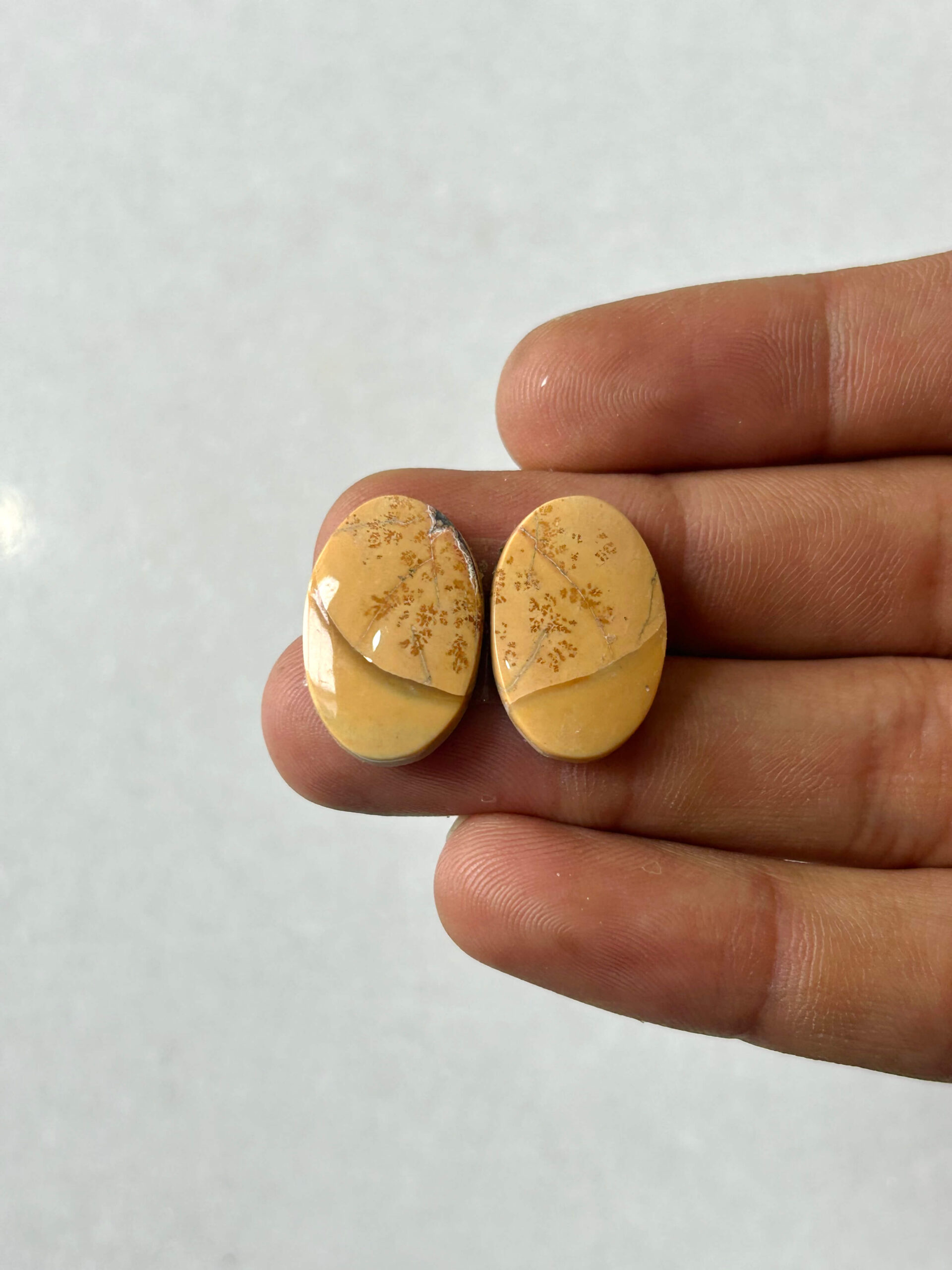 20mm Jasper Cabochon Pair – One of a Kind