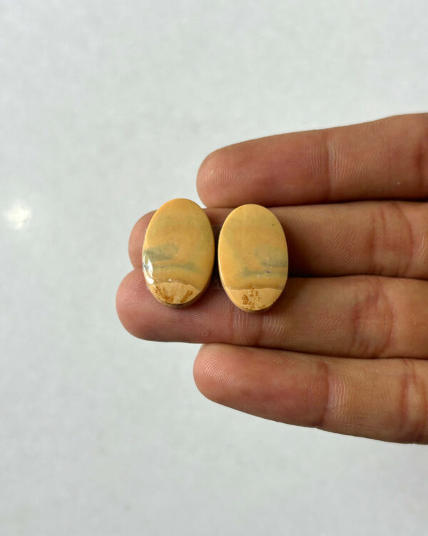 21mm Jasper Cabochon Pair – One of a Kind