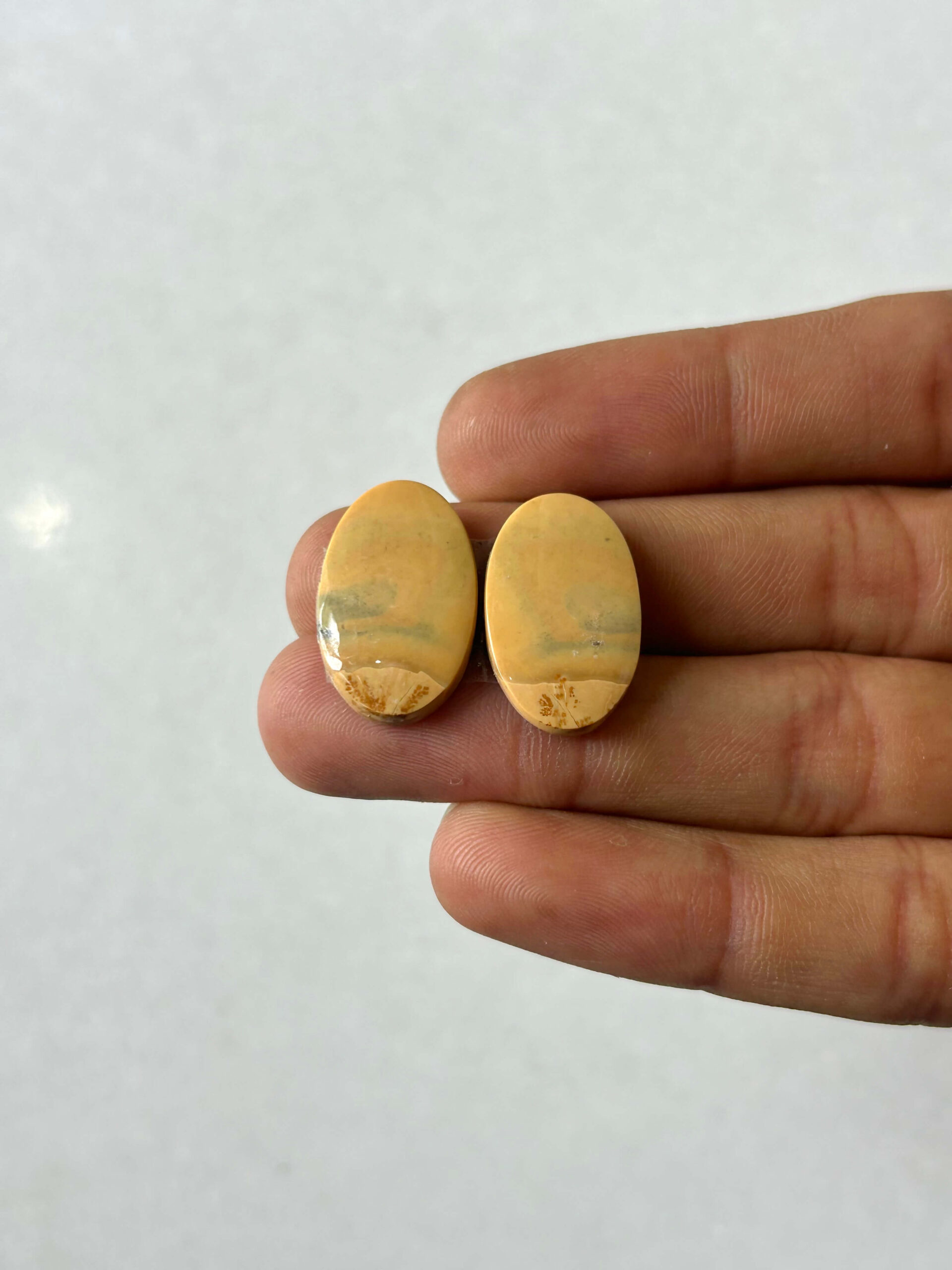 21mm Jasper Cabochon Pair – One of a Kind
