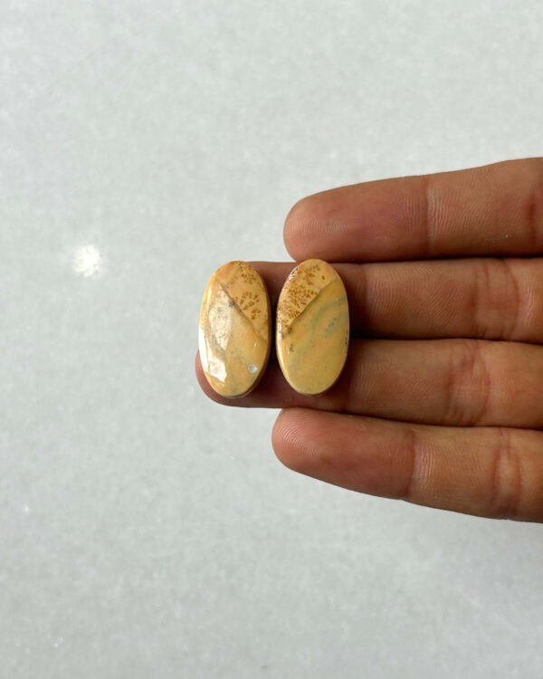 25mm Jasper Cabochon Pair – One of a Kind