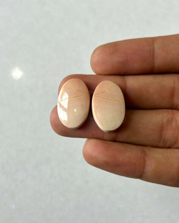 20mm Jasper Cabochon Pair – One of a Kind