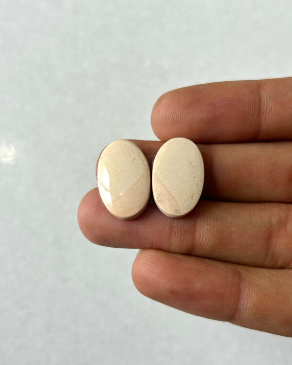 19mm Jasper Cabochon Pair – One of a Kind