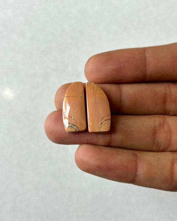 22mm Jasper Cabochon Pair – One of a Kind
