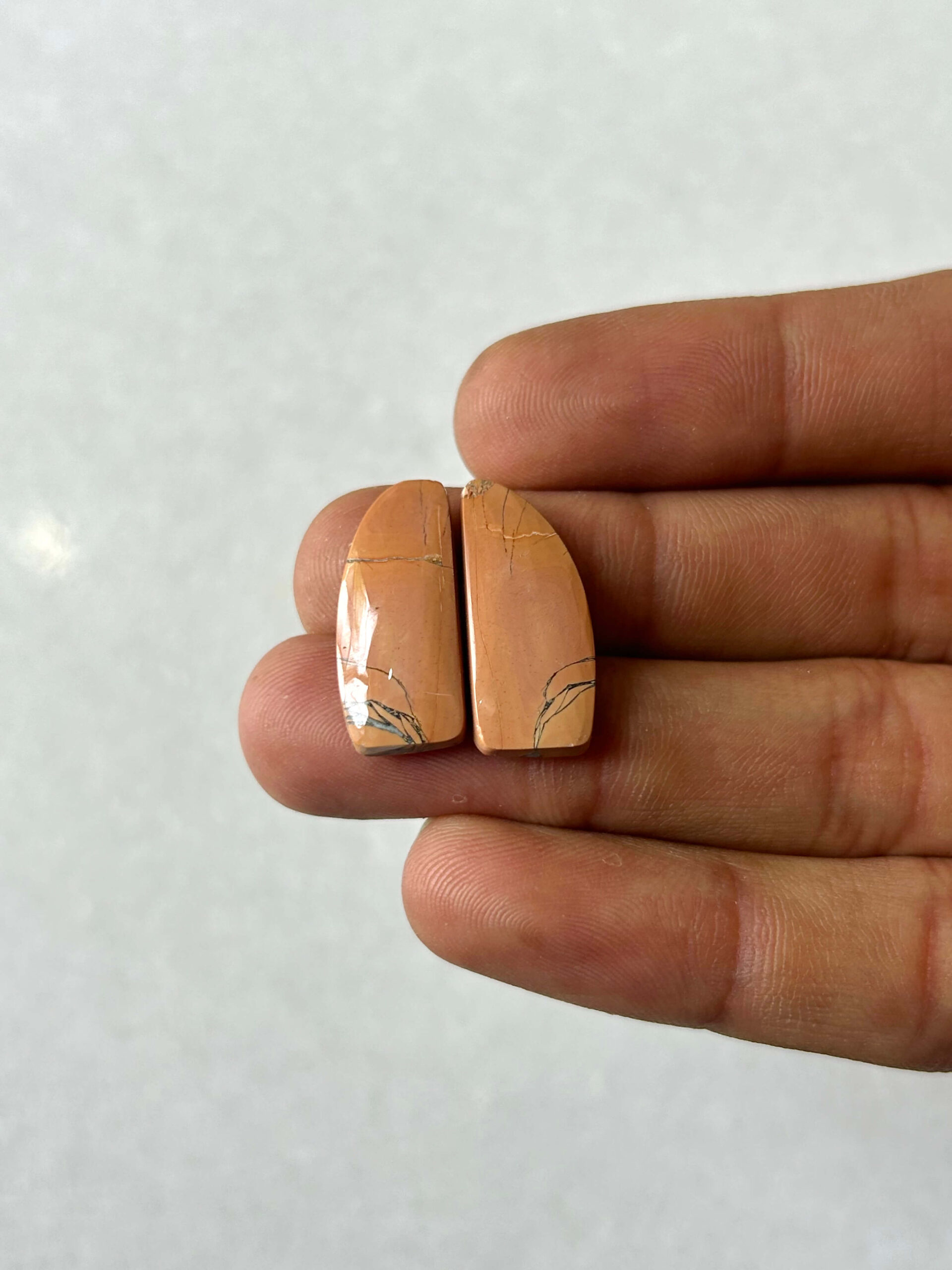 22mm Jasper Cabochon Pair – One of a Kind