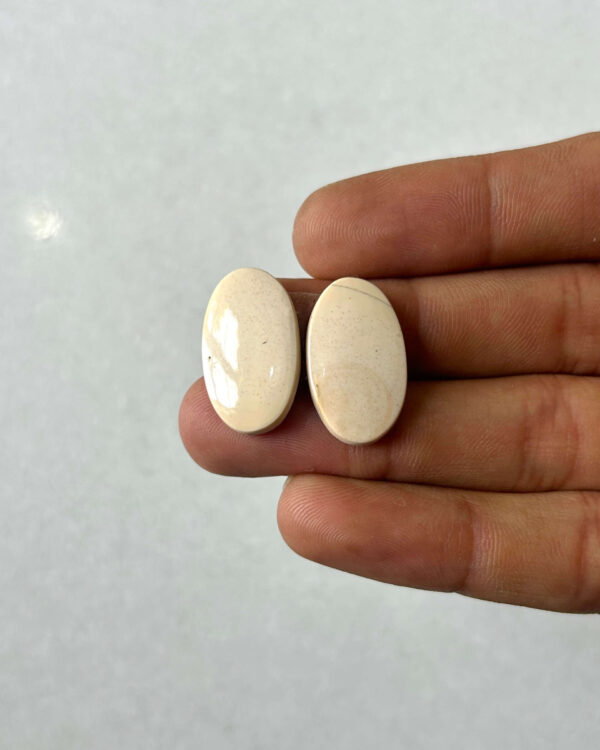 22mm Jasper Cabochon Pair – One of a Kind