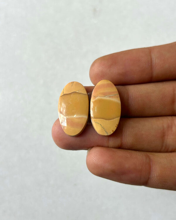 22mm Jasper Cabochon Pair – One of a Kind