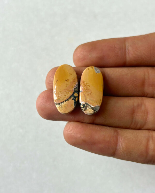 23mm Jasper Cabochon Pair – One of a Kind