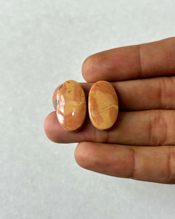22mm Jasper Cabochon Pair – One of a Kind
