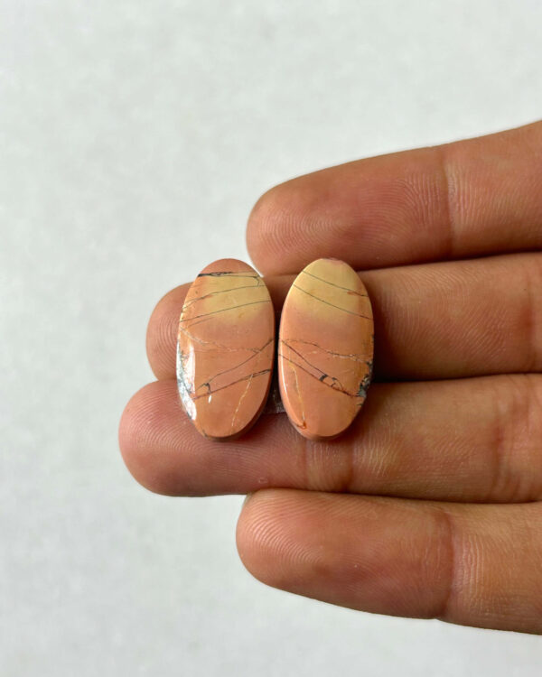22mm Jasper Cabochon Pair – One of a Kind