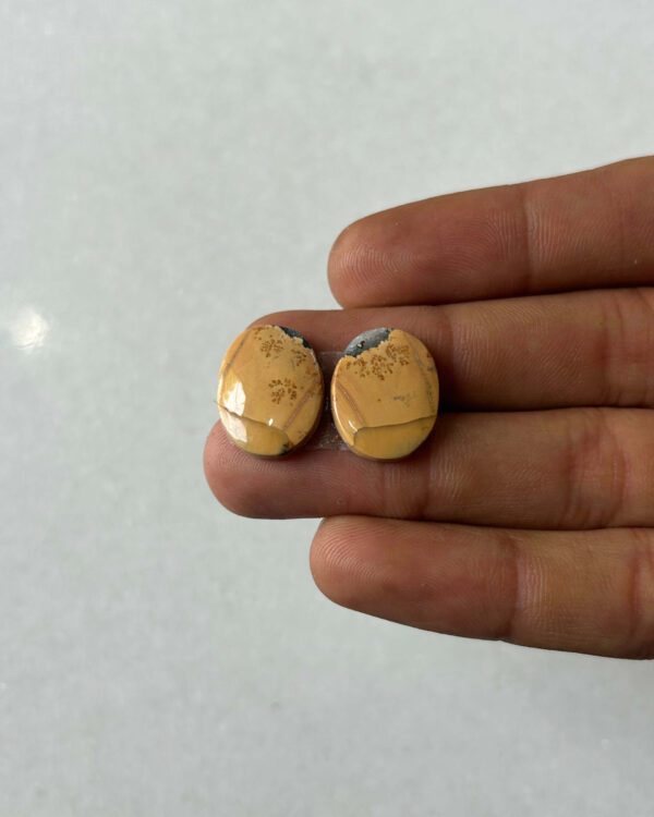 17mm Jasper Cabochon Pair – One of a Kind