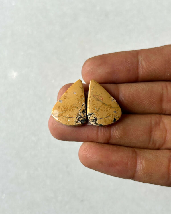 22mm Jasper Cabochon Pair – One of a Kind