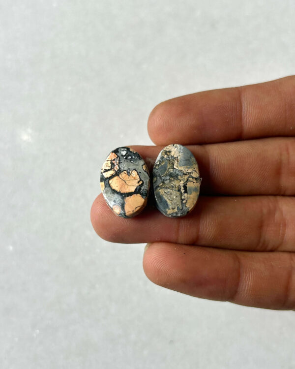 19mm Jasper Cabochon Pair – One of a Kind