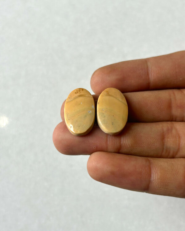 22mm Jasper Cabochon Pair – One of a Kind