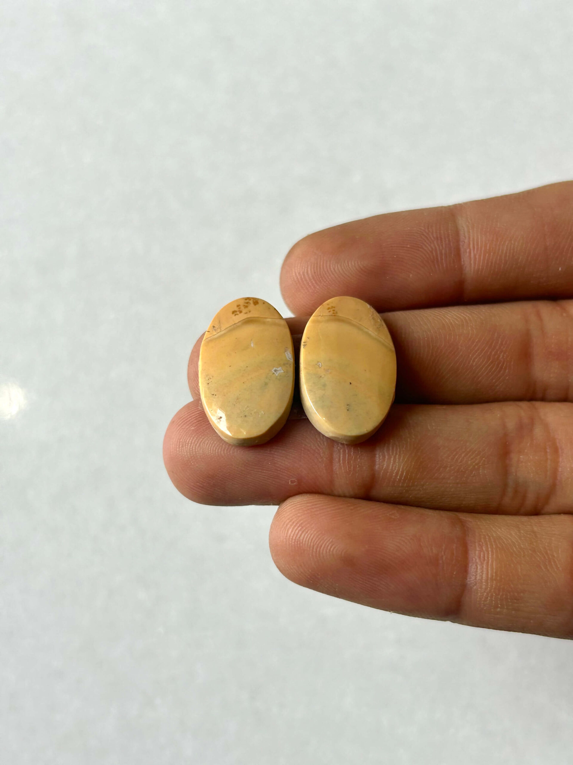22mm Jasper Cabochon Pair – One of a Kind