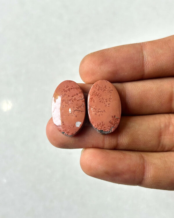 22mm Jasper Cabochon Pair – One of a Kind