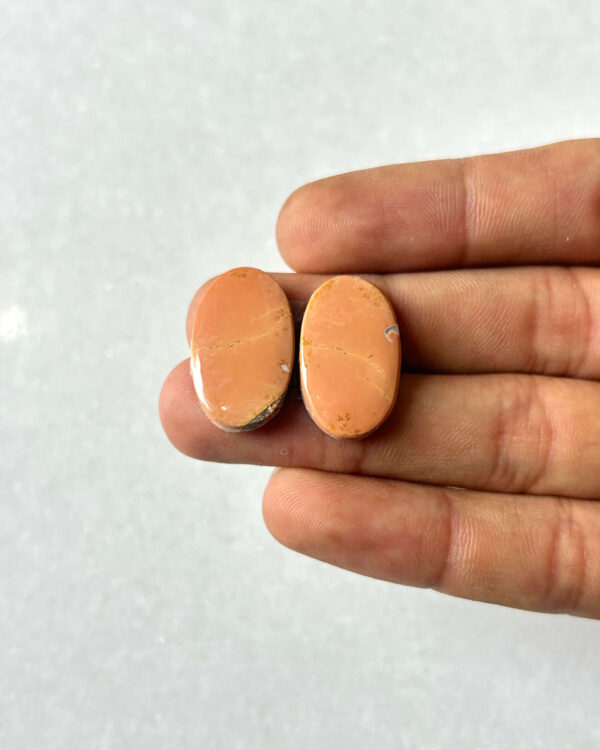 22mm Jasper Cabochon Pair – One of a Kind