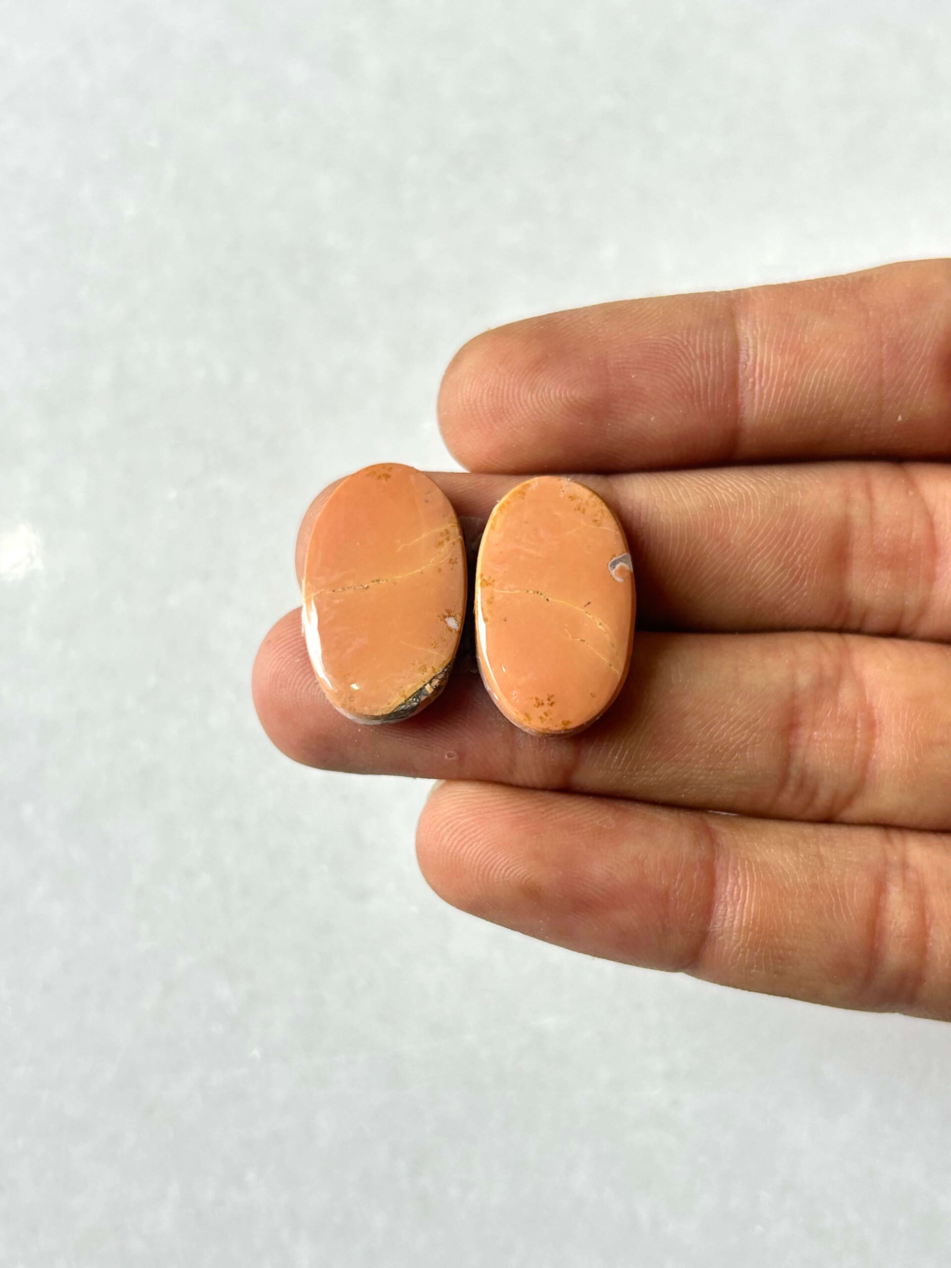 22mm Jasper Cabochon Pair – One of a Kind