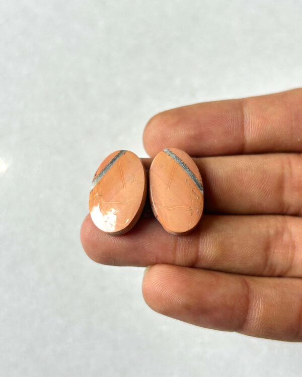22mm Jasper Cabochon Pair – One of a Kind