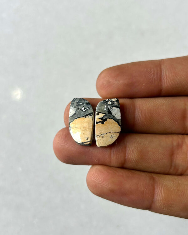 19mm Jasper Cabochon Pair – One of a Kind